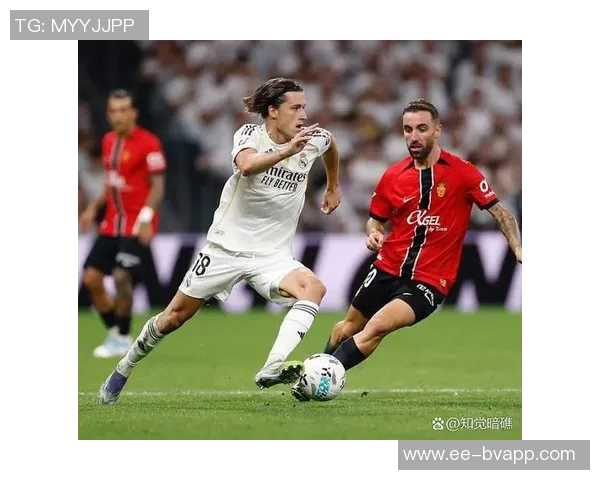 本菲卡瞄准格雷罗欲引进新左后卫加强阵容 本菲卡瞄准格雷罗欲引进新左后卫加强阵容